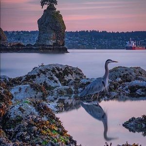 Meet your Posher, Kerry